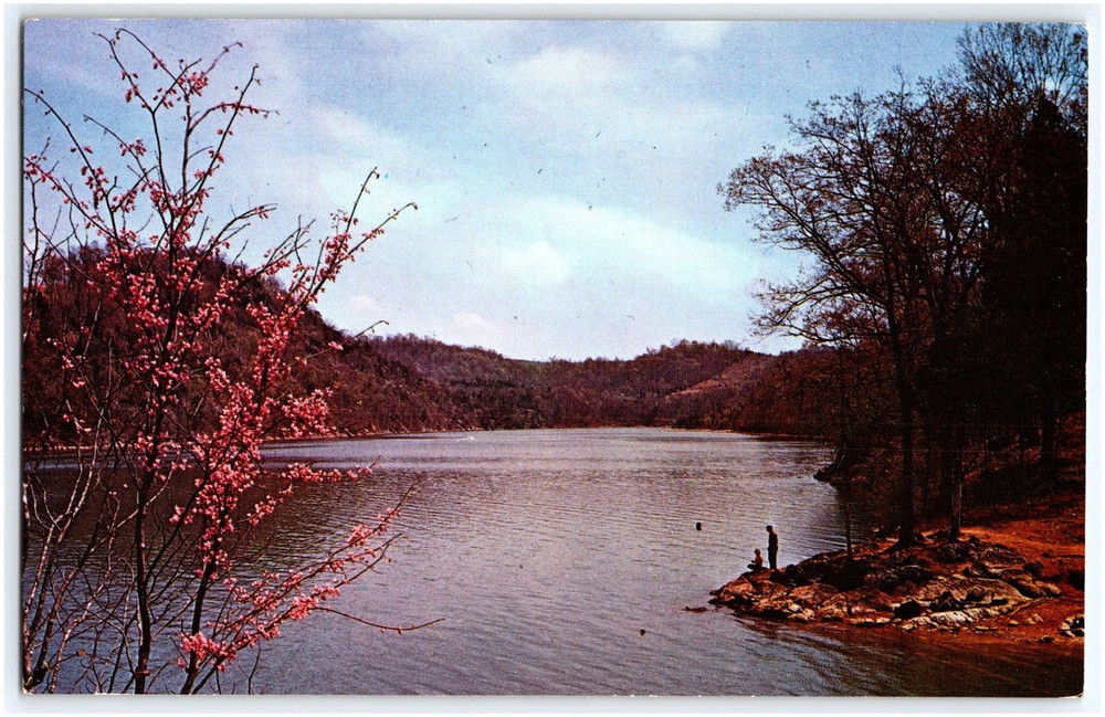 Fishing On Cherokee Lake Holston River Eastern Tennessee Postcard