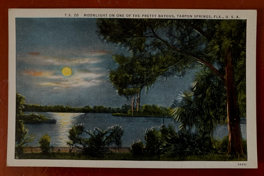 Moonlight on the Bayou Tarpon Springs Florida Pinellas County Vintage Postcard