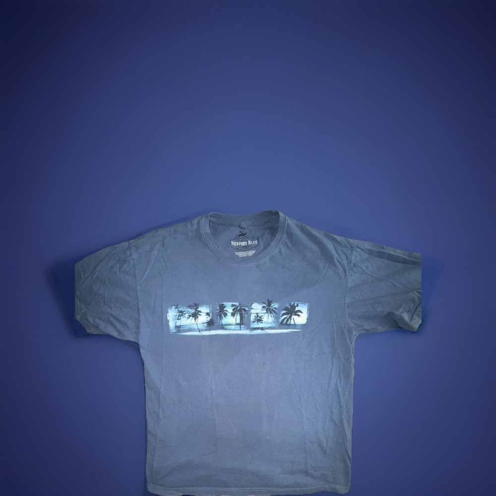 Newport Blue Blue Beach Graphic Cotton Men's Crew Neck Short Sleeve T-Shirt XX-L