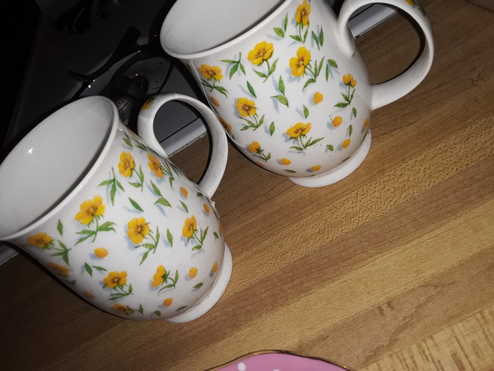 2 Dunoon Bone China 