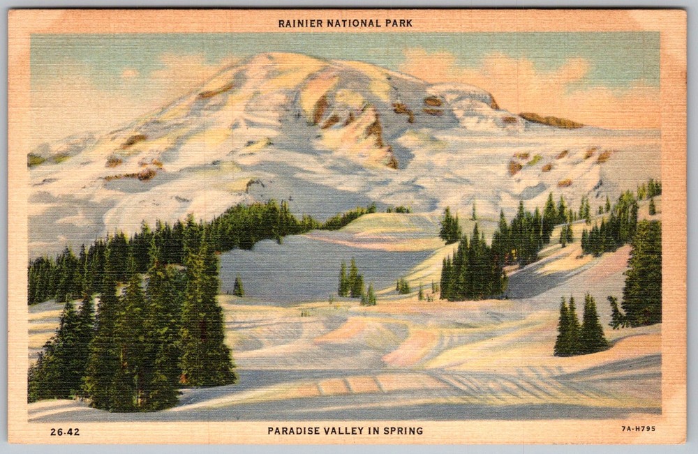 Vtg Linen Postcard Paradise Valley Rainier National Park, WA 1940s