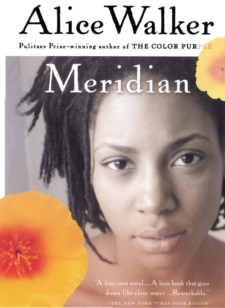 Meridian - paperback Walker, Alice