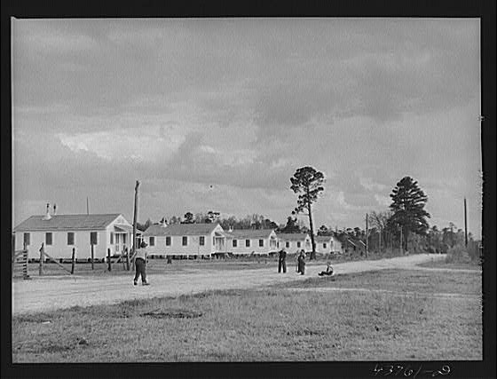 [Untitled photo, possibly related to: Playing ball at Hazlehurst Farms, Inc.]