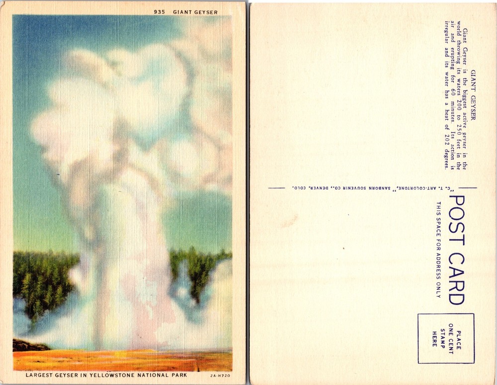 Giant Geyser Yellowstone National Park Wyoming WY Postcard