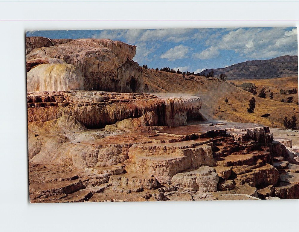 Postcard Minerva Terrace Mammoth Hot Springs Wyoming USA