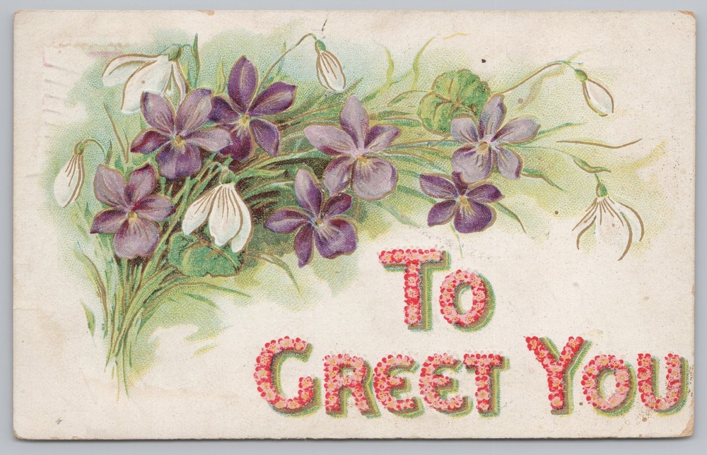 Greetings~Purple Violets to Greet You~Vintage Postcard