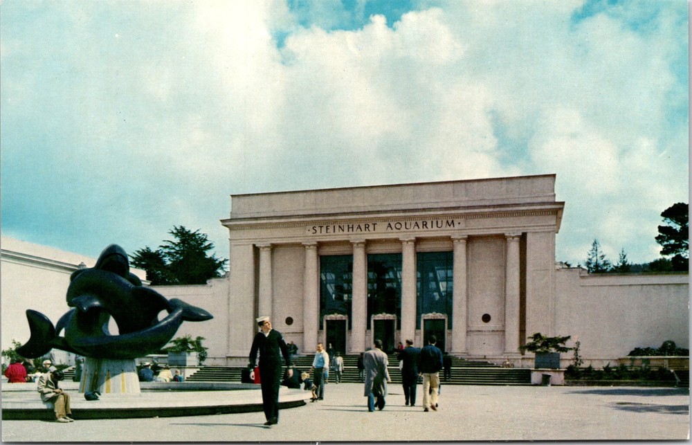 Postcard San Francisco CA - Steinhart Aquarium - California Academy of Sciences-image