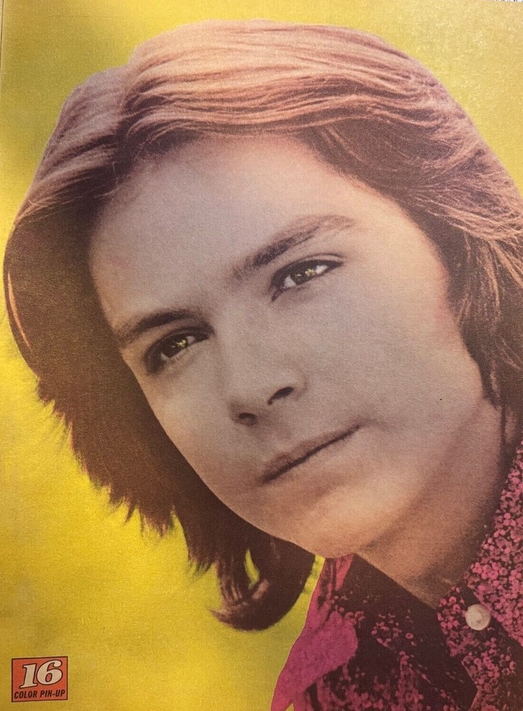 1971 Vintage Illustration Singer Performer David Cassidy