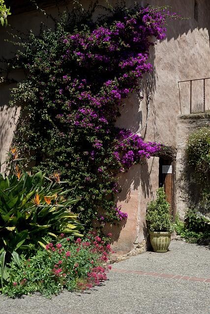 Carmel California Mission San Carlos Borrom�o del r�o Carmelo 2012 Garden Wall