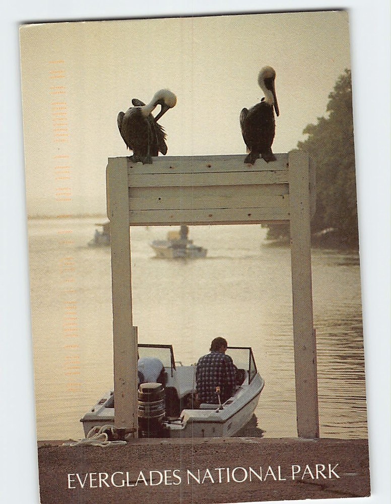 Postcard Flamingo Marina in Everglades National Park Homestead Florida USA