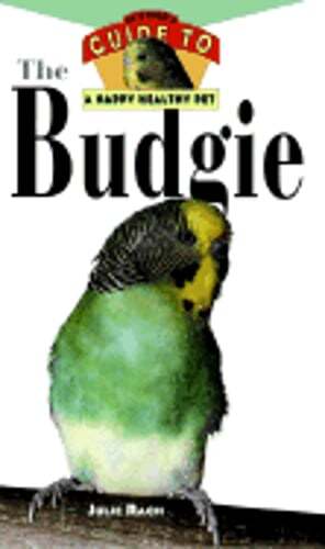 Budgie: An Owner's Guide to a Happy Healthy Pet by Julie Rach Mancini: Used
