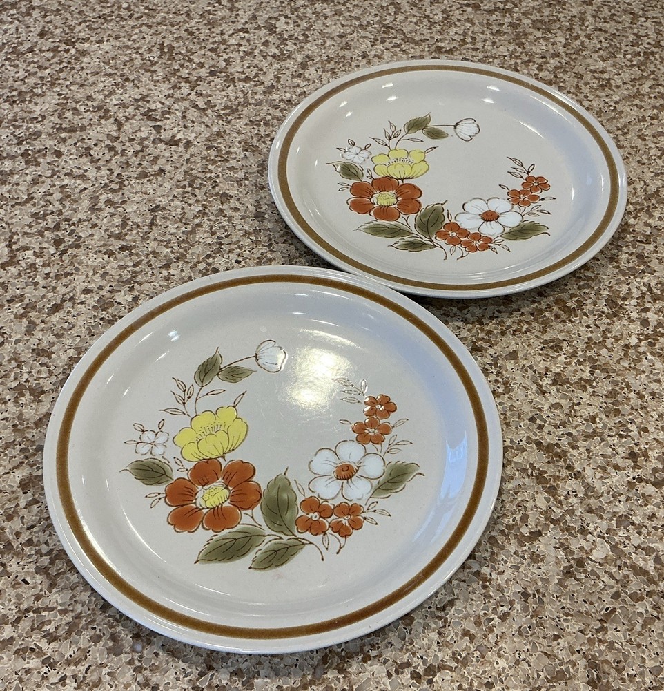 Set Of 2 Dinner Plates Mountain Wood Coolection  Trellis Blossom Stoneware