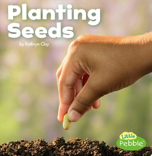 Planting Seeds (Little Pebble: Celebrate Spring) by Clay, Kathryn, Good Book
