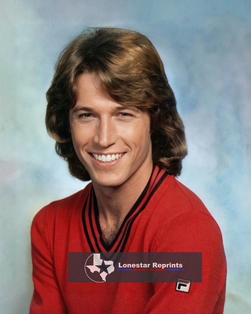 Andy Gibb   8x10 Reprint