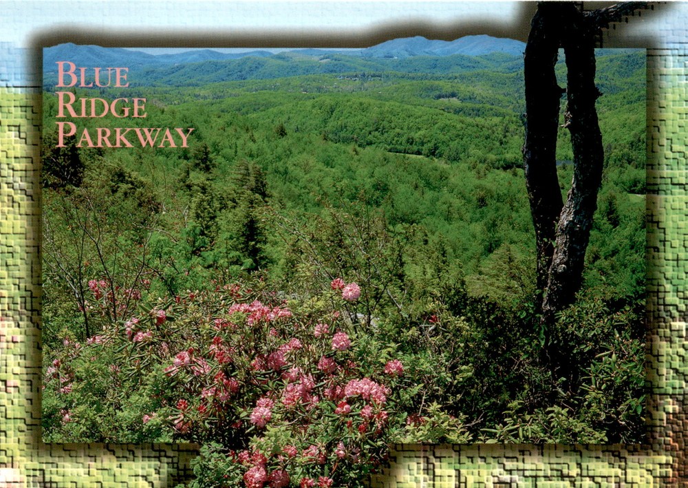 BLUE RIDGE PARKWAY, rhododendron, North Carolina, Aerial Photography Postcard