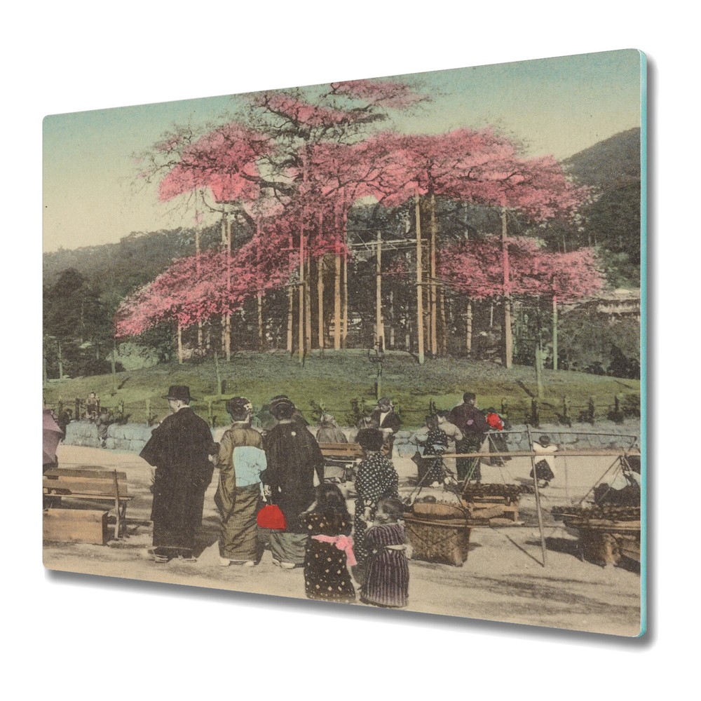 Glass Chopping Cutting Board Worktop Saver Japanese Afternoon Art 60x52