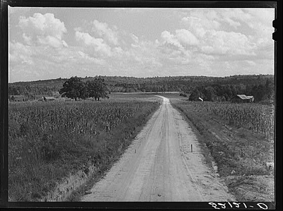 Photo:General landscape and road. Wake County, North Carolina]