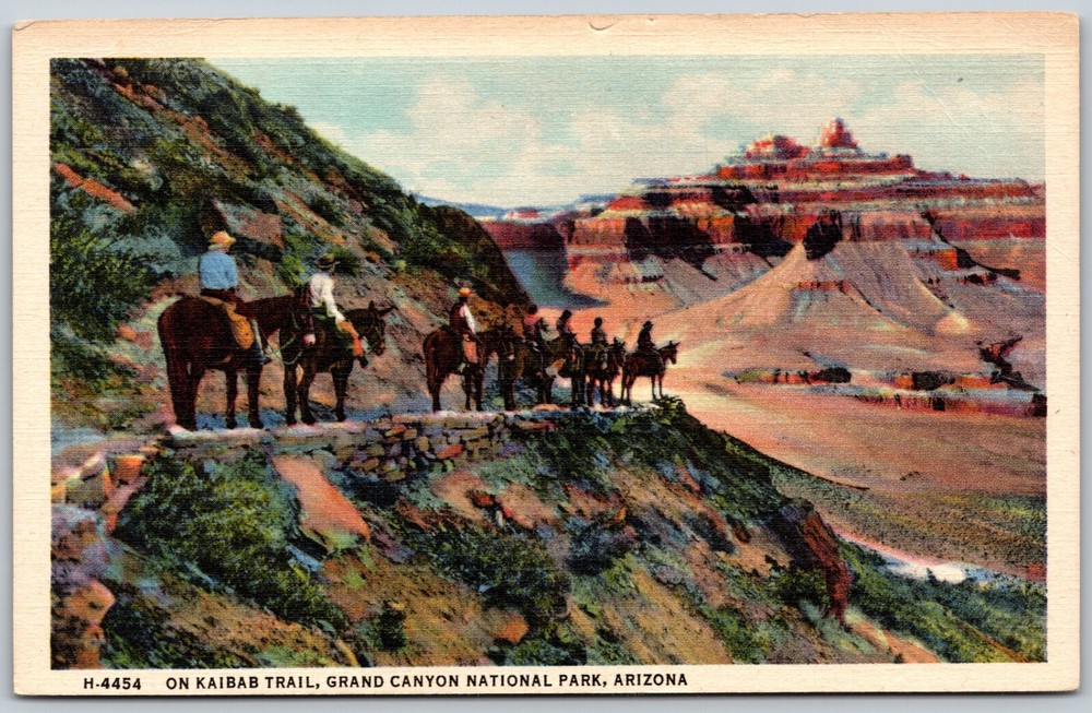 Kaibab Trail Grand Canyon National Park Arizona VINTAGE Postcard
