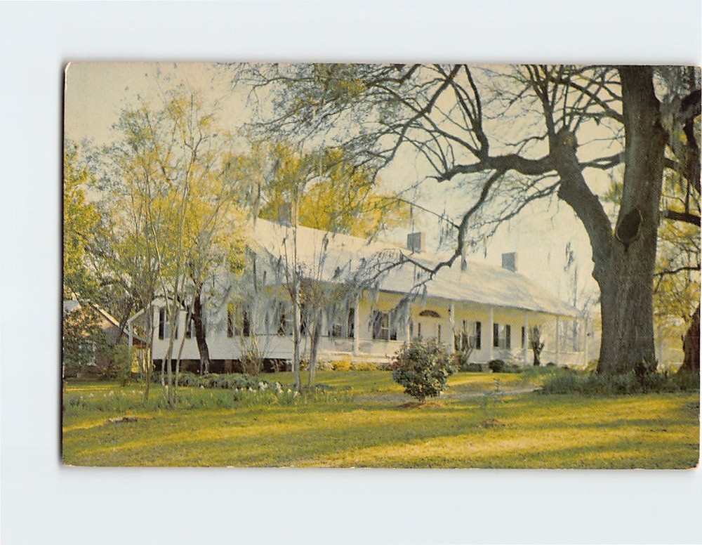 Postcard Fair Oaks Plantation Natchez Mississippi USA