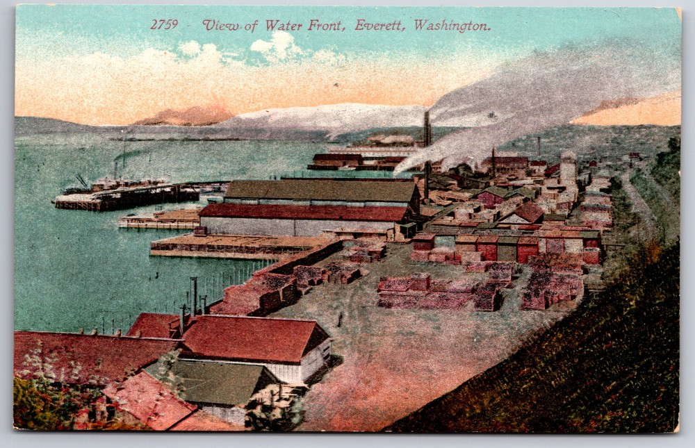 Everett Washington~Birds Eye View Of Water Front Warehouses~Vintage Postcard