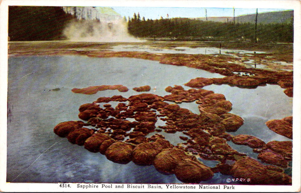Vintage Postcard Sapphire Pool Biscuit Basin Yellowstone National Park