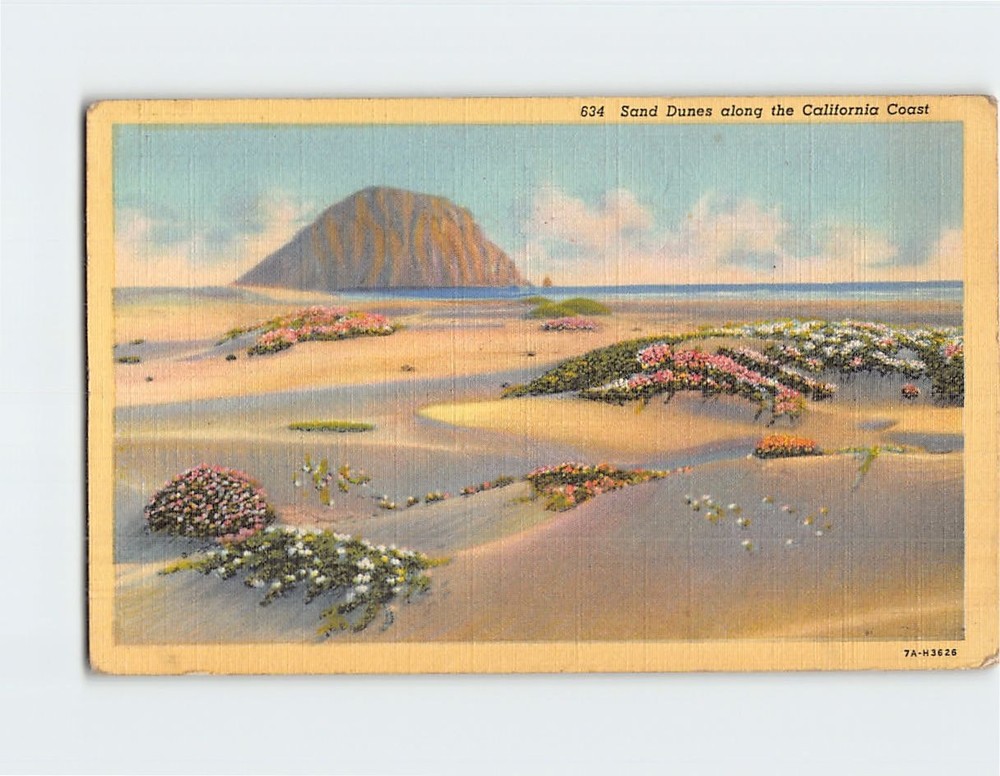 Postcard Sand Dunes Along the California Coast
