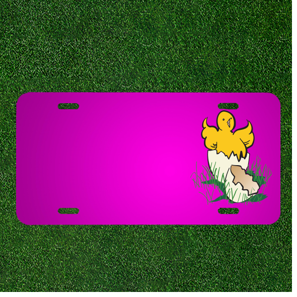 Custom Personalized Car License Plate With Add Names To Baby Bird Hatching