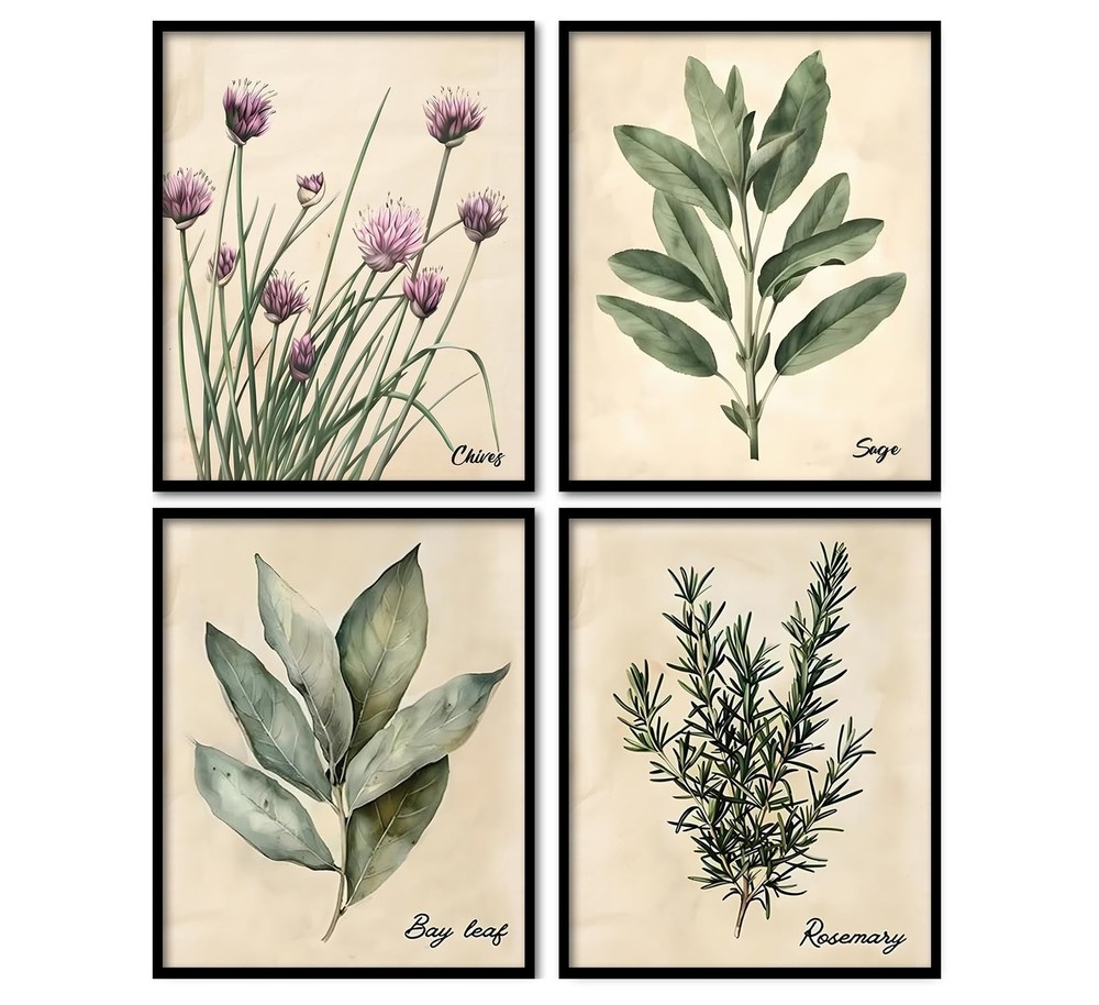 KDHTY Vintage Herbs Botanical Art Prints Wall Decor,Set of 4 Kitchen Wall Dec...
