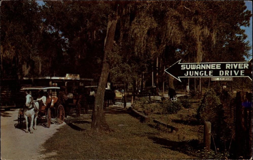 Tallahassee Florida Suwannee River Jungle drive horse buggy 1950s postcard