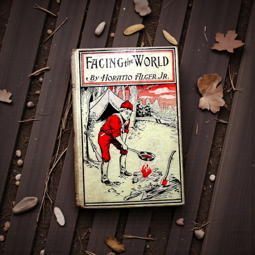 Facing the World by Horatio Alger Vintage Book AL Burt Publisher Late 19th c
