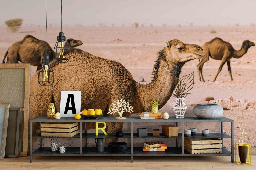 3D Desert Camel Landscape Wall Murals Wallpaper Murals Wall Sticker 2