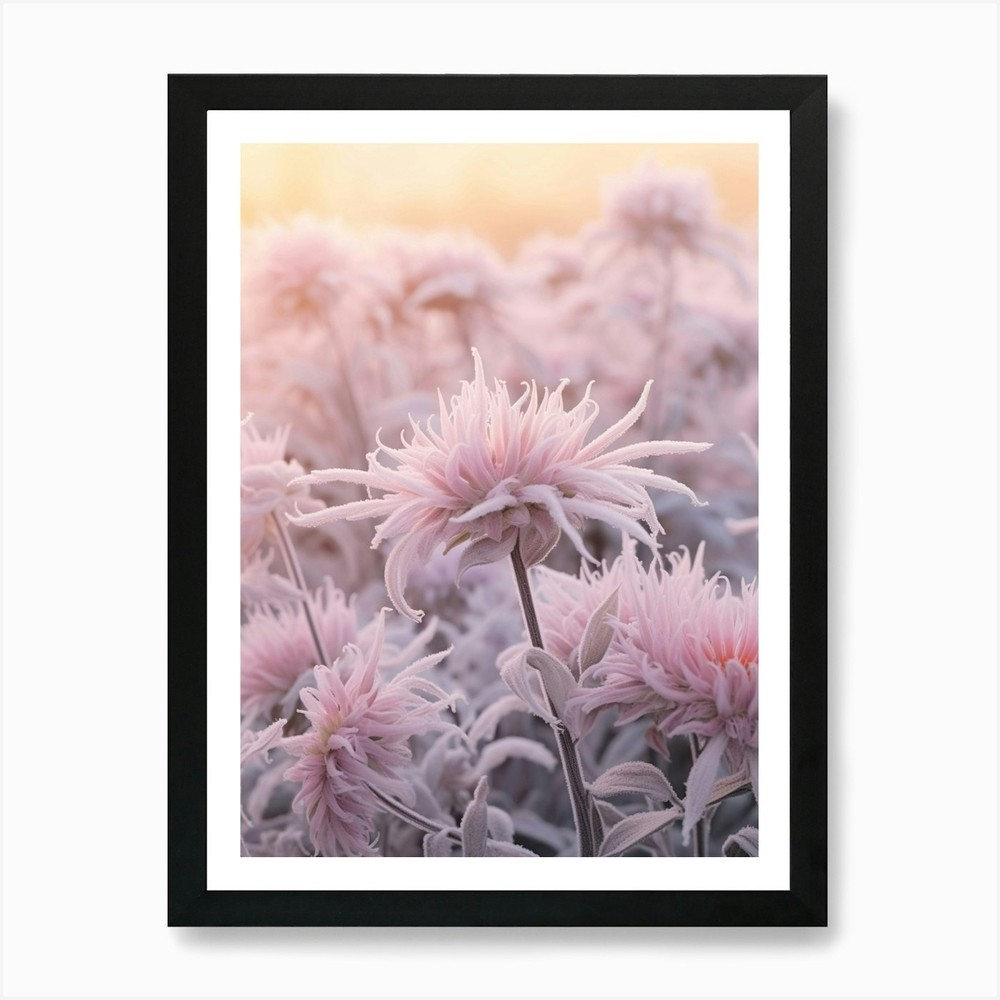 Frosty Botanical Bee Balm Framed Wall Art Canvas Print Poster