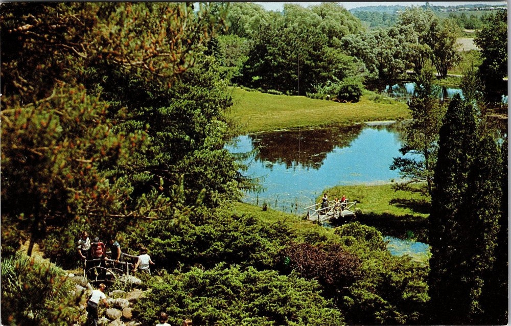 Hillsdale MI-Michigan, Slayton Arboretum, Scenic View, Vintage Postcard