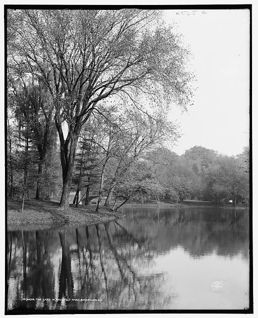 Photo:The Lake in Prospect Park, Brooklyn, N.Y.