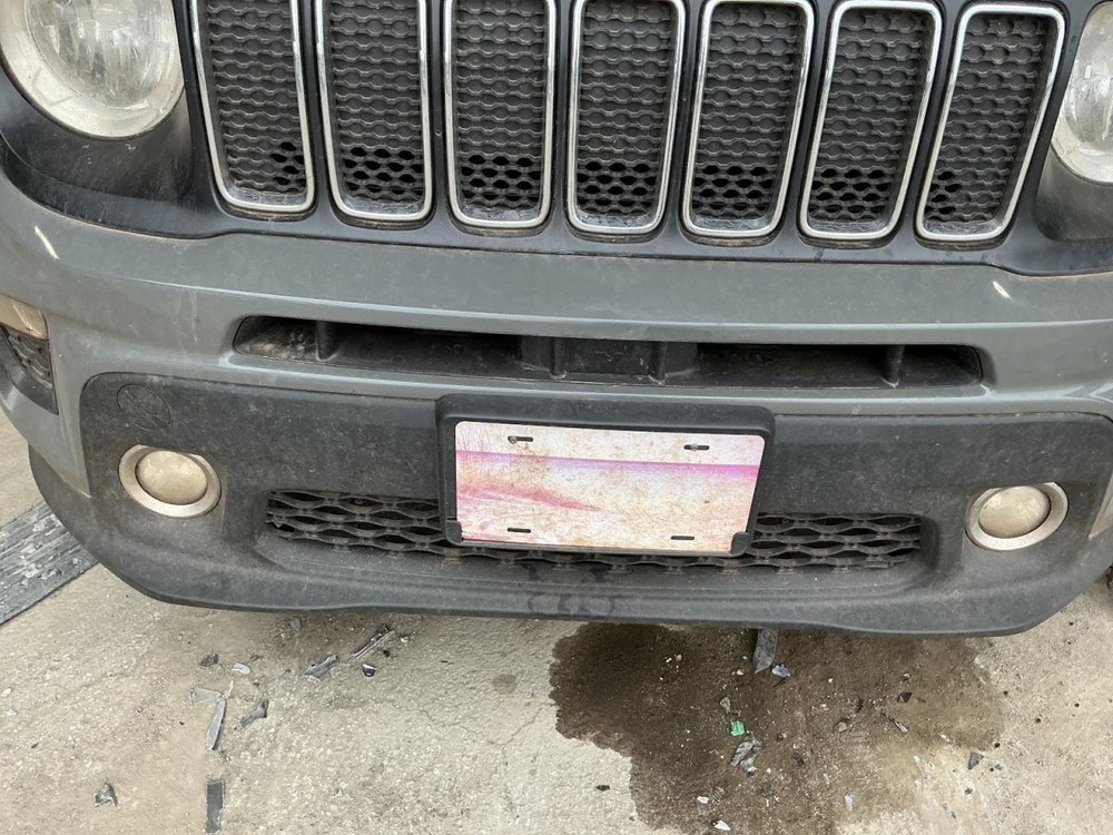 Grille Center Fits 19-21 RENEGADE 4754412