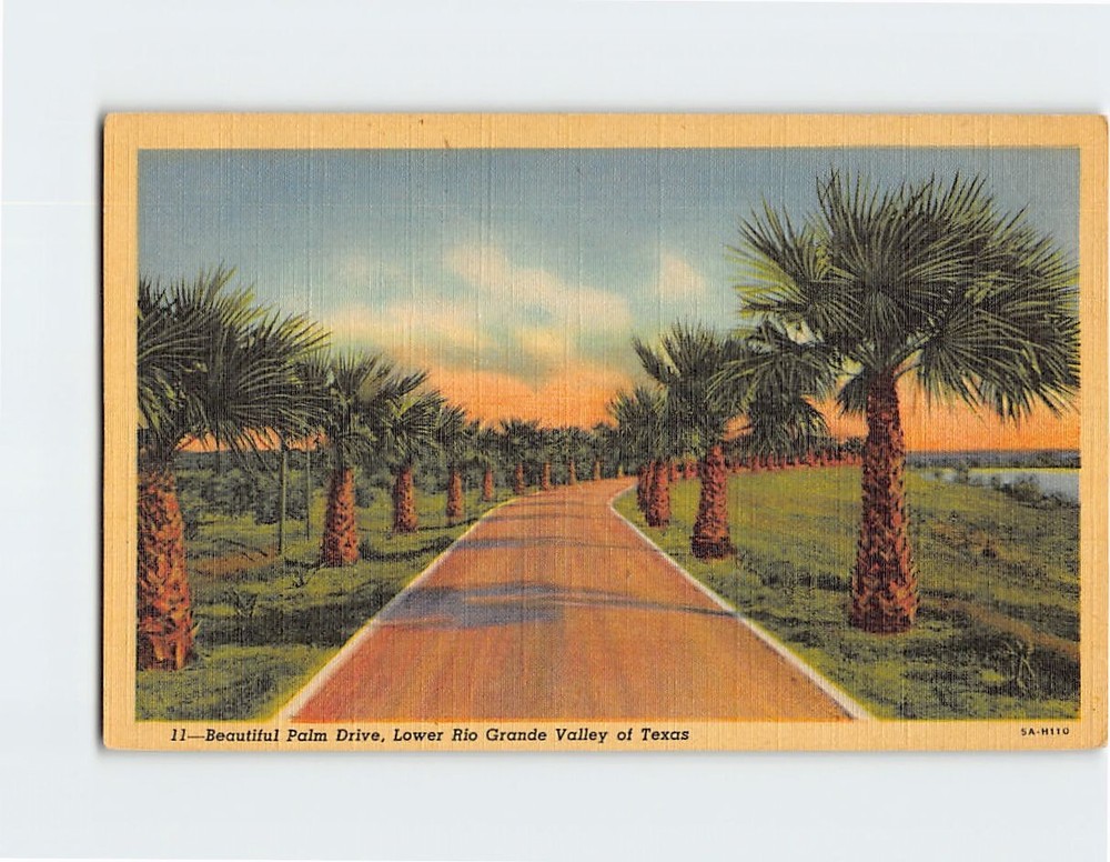 Postcard Palm Drive Lower Rio Grande Valley Texas
