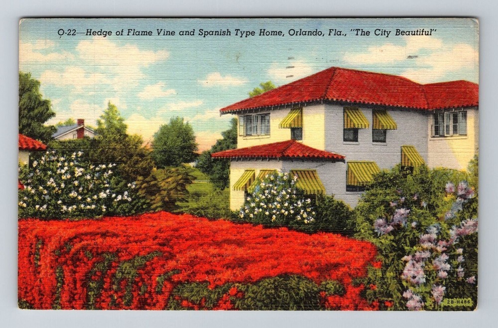 Orlando FL-Florida, Hedge Flame Vine & Spanish Type Home, Vintage Postcard