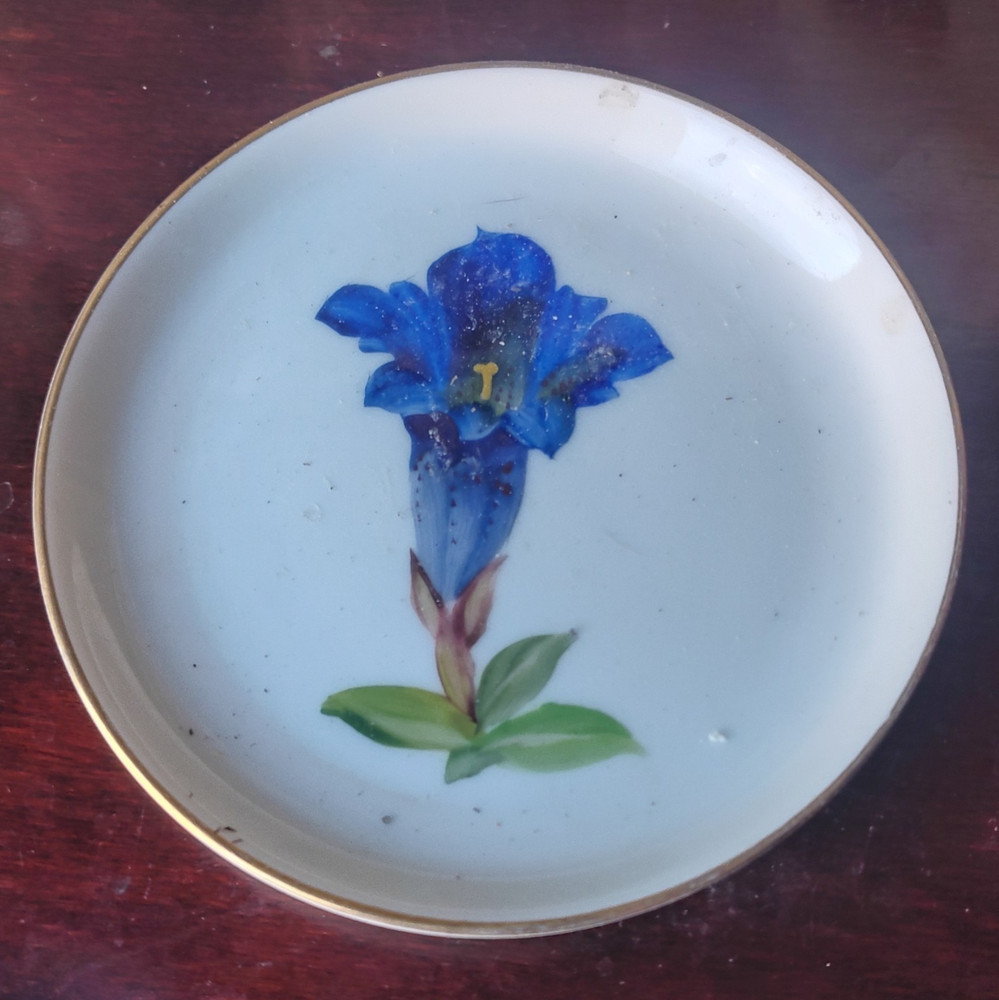 Rosenthal Porcelain Plate White/Blue/Green Floral Flower Gold Rim Round
