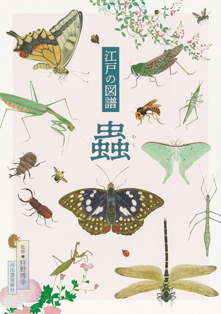 Insects Illustrated Book of Edo Period at Japanese Bugs from Japan