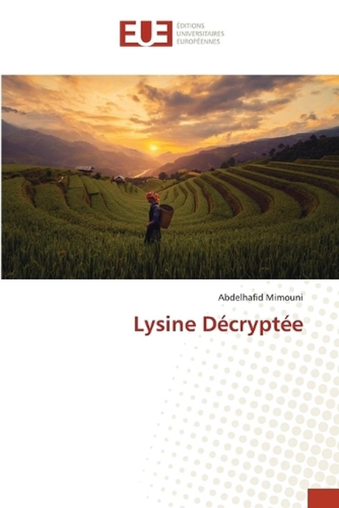 Lysine Dcrypte by Abdelhafid Mimouni (French) Paperback Book