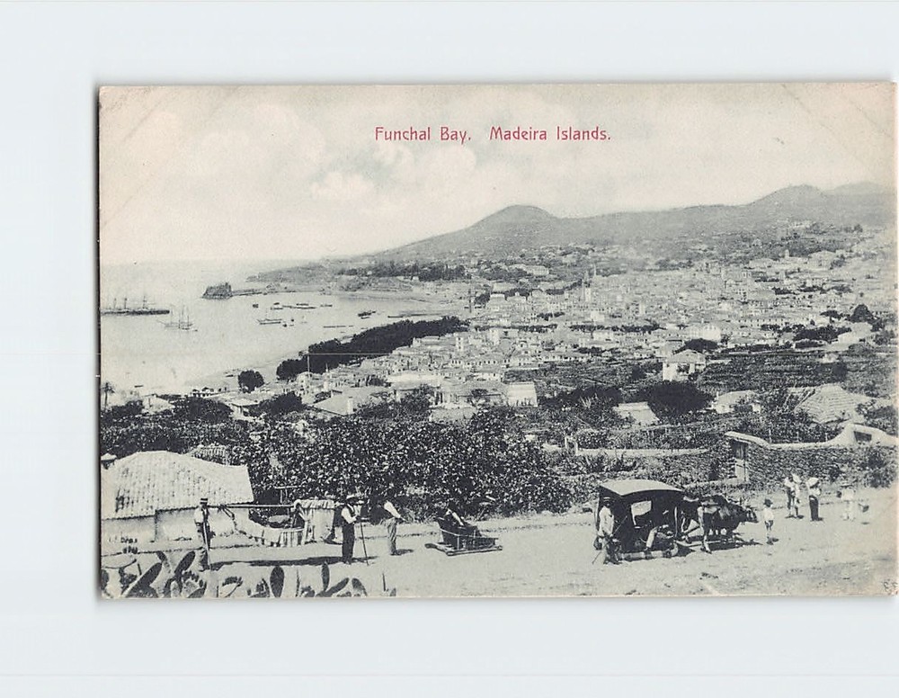 Postcard Funchal Bay Madeira Islands Portugal