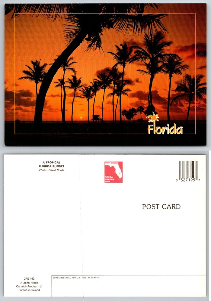 Florida Tropical Sunset Palm Trees Beach Postcard David Noble John Hinde