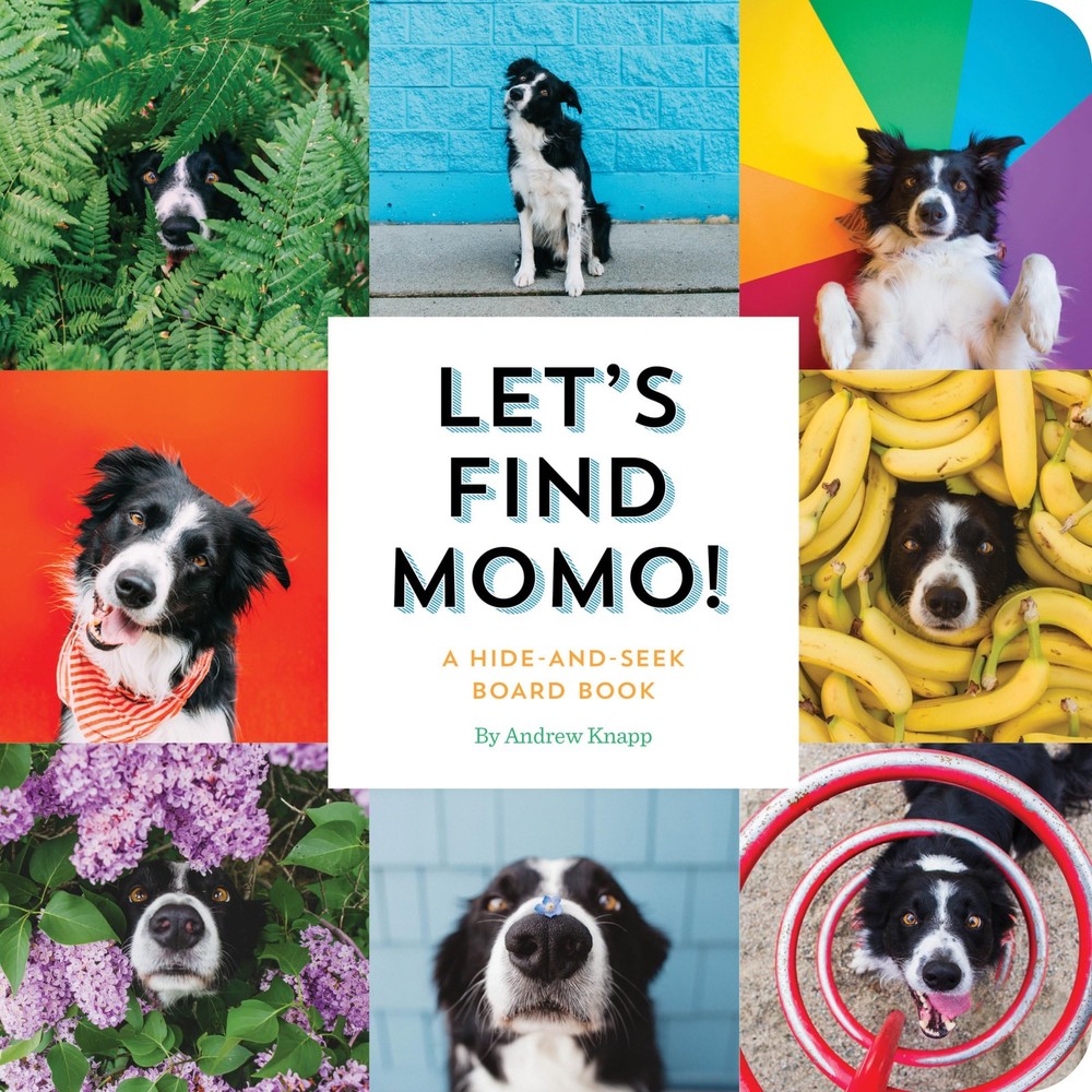 Let's Find Momo!: A Hide-and-Seek Board Book - board book Knapp, Andrew