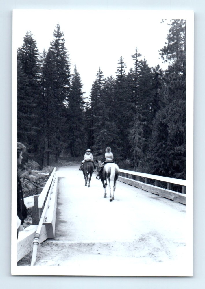 Old Vintage Photo TRIO WOMEN RIDING HORSE REAR VIEW FROM BEHIND SNAPSHOT