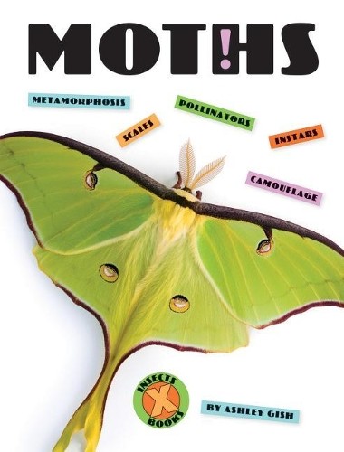 Ashley Gish Moths (Paperback) X-Books: InsectsAnother great item from Rarewaves USA | Free delivery!