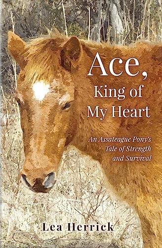 Ace, King of My Heart: An Assateague P..., Herrick, Lea