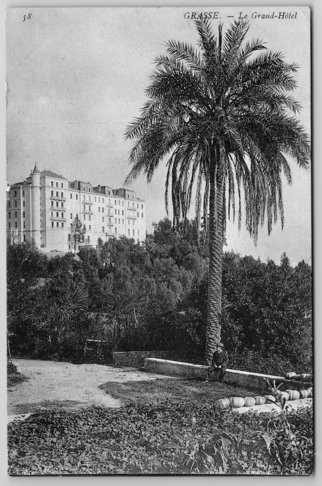 France Grasse Le Grand Hotel French Riviera Palm Tree Postcard