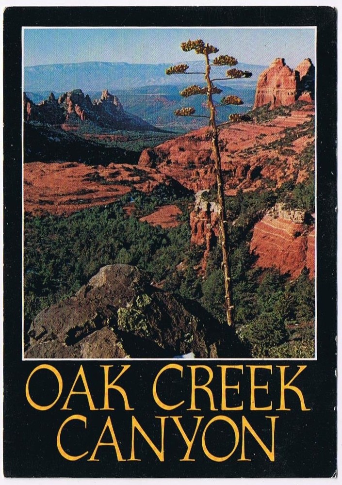 Arizona Postcard Oak Creek Canyon