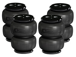 Air Bags Dominator D2500 4 1/2