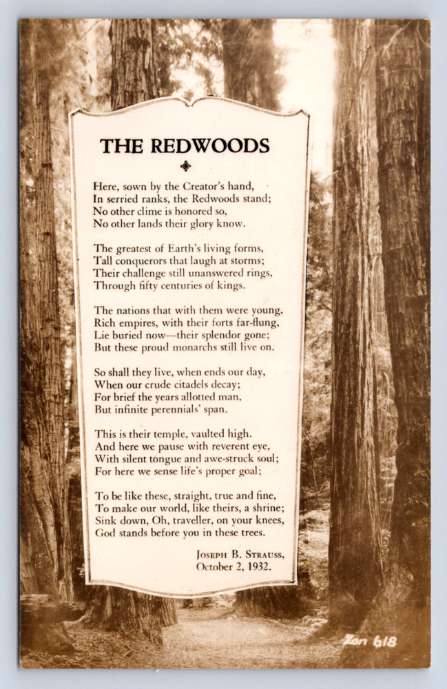 Vintage Postcard The Redwoods Poem California Joseph B Strauss